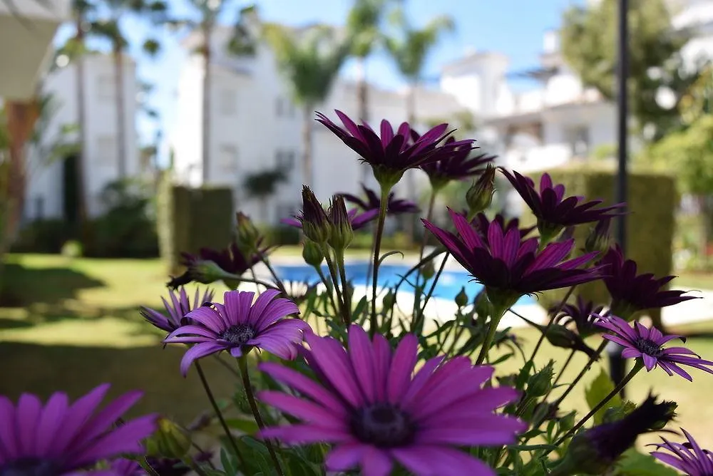 Apartment Los Naranjos De Marbella Spain